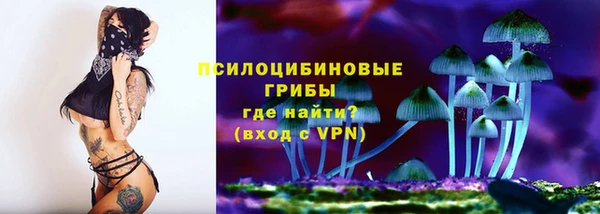 ГАЛЛЮЦИНОГЕННЫЕ ГРИБЫ Алексеевка