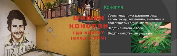 ГАЛЛЮЦИНОГЕННЫЕ ГРИБЫ Алексеевка