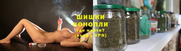 ГАЛЛЮЦИНОГЕННЫЕ ГРИБЫ Алексеевка