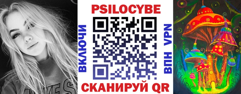 hydra зеркало  Североуральск  Псилоцибиновые грибы Cubensis 