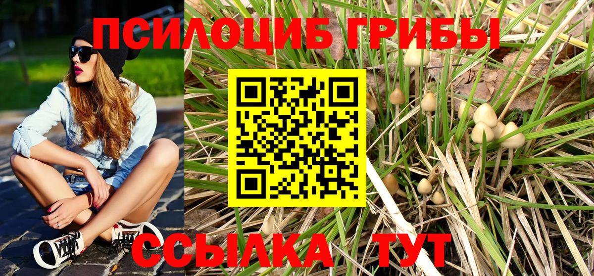 Псилоцибиновые грибы прущие грибы Североуральск