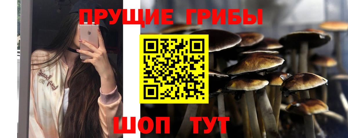 Псилоцибиновые грибы Psilocybe  Вход с VPN  Североуральск  Псилоцибиновые грибы Magic Shrooms 